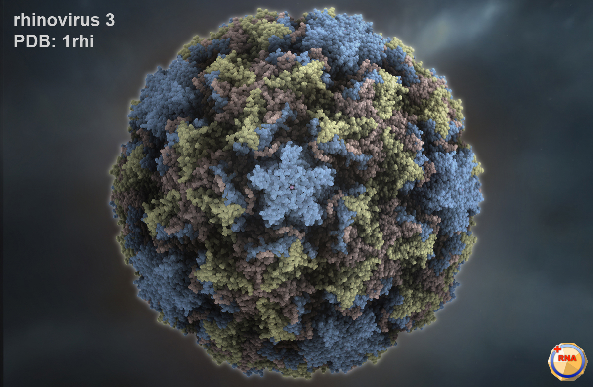 Pretty good looking virus, TBH